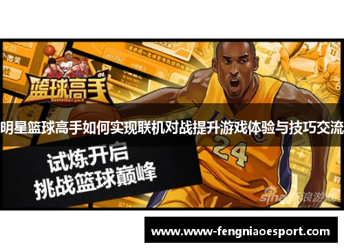 明星篮球高手如何实现联机对战提升游戏体验与技巧交流