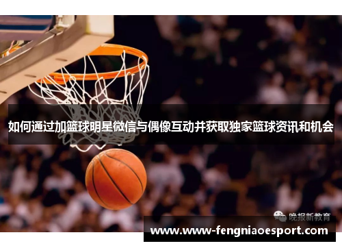 如何通过加篮球明星微信与偶像互动并获取独家篮球资讯和机会
