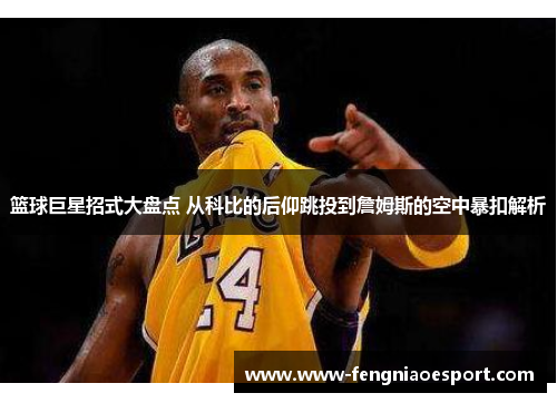 篮球巨星招式大盘点 从科比的后仰跳投到詹姆斯的空中暴扣解析