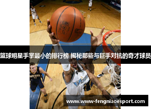 篮球明星手掌最小的排行榜 揭秘那些与巨手对抗的奇才球员